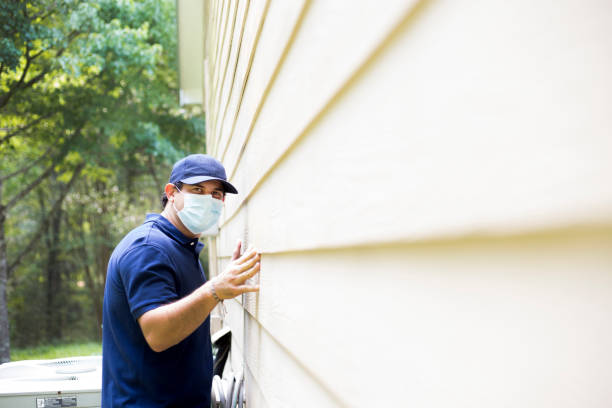 Best Insulated Siding Installation  in Lenoir City, TN